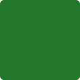 Solid green